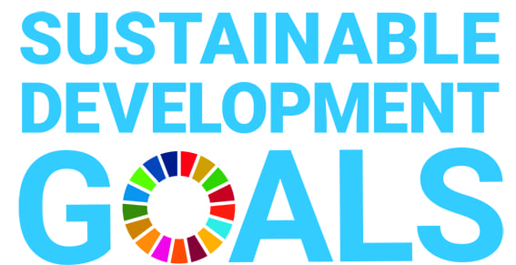 sdg logo